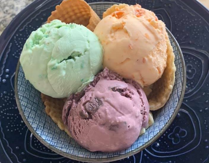 The Sarasota Moms’ 10 Favorite Ice Cream Shops! The Sarasota Moms