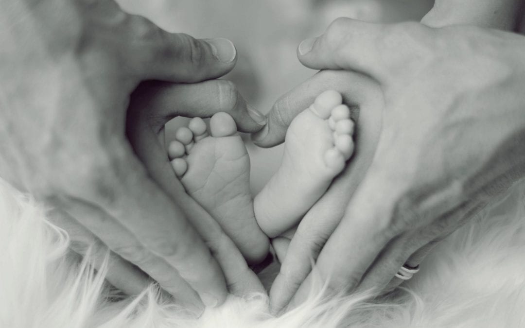 Charities that Help Families: Giving Back this Season