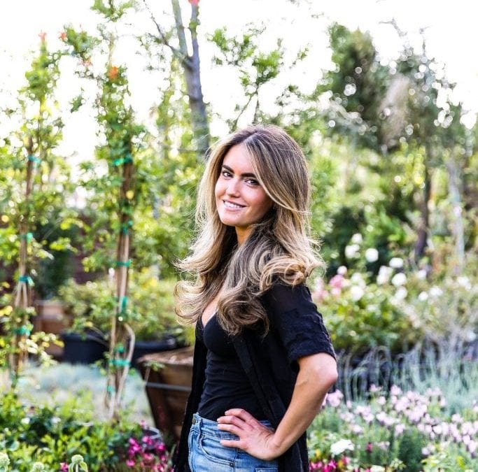 Beekeeper’s Naturals: Harnessing the Power of The Bee Hive