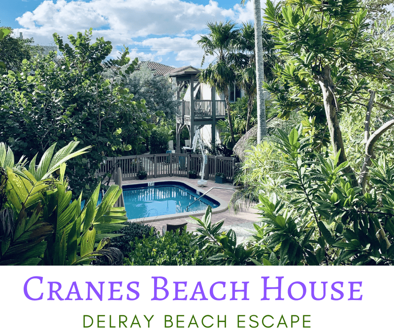 Cranes Beach House