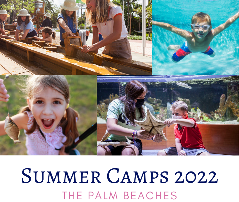 Summer Camps 2022