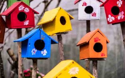 Lachat Farm in Weston, Mini Bird House Class – Limited Spots!