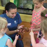 Animal Meet and Greet