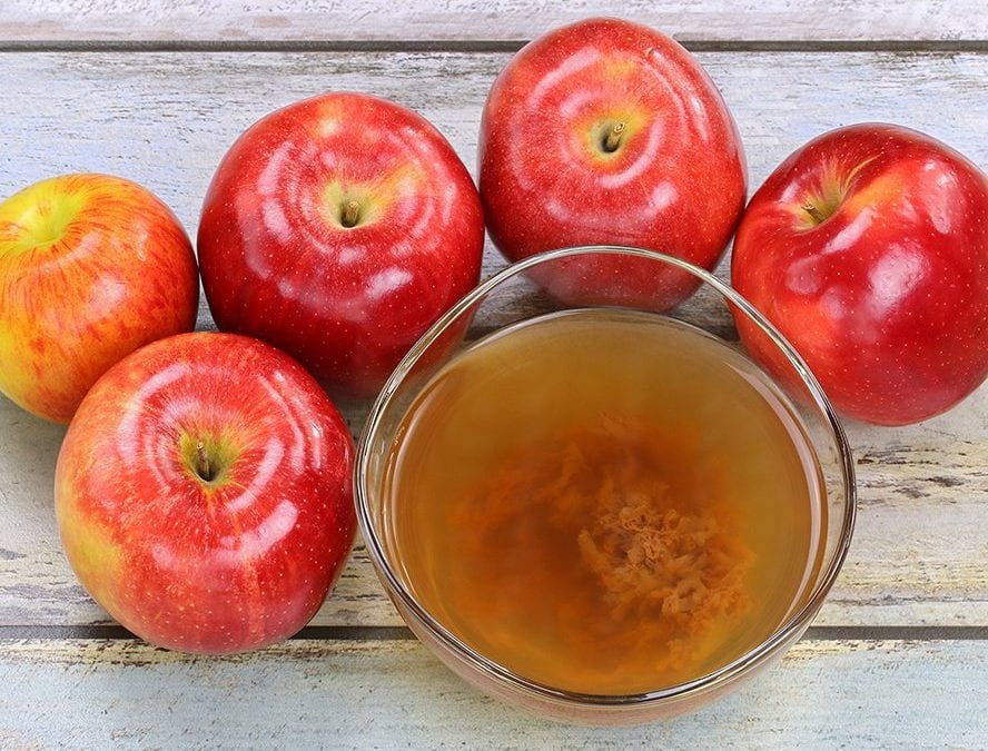 New Canaan Nature Center – Cider Saturday!