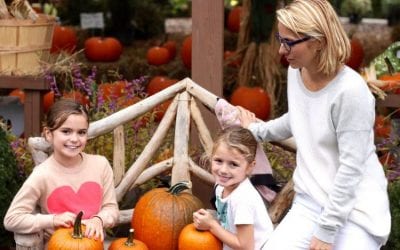 Fall Decor: Your Front Entryway by Ana-Maria Leeming