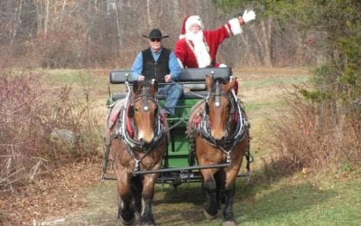 Winter Wonderland at New Canaan Nature Center