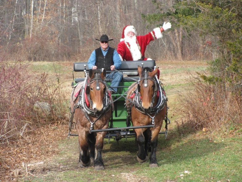 Winter Wonderland at New Canaan Nature Center