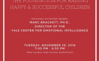 Emotional Intelligence: The Foundation for Raising Happy and Successful Children
