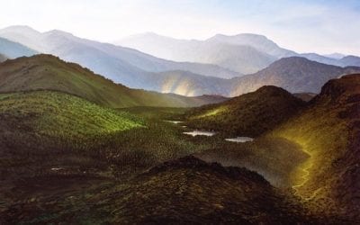 Tula Telfair: Invented Landscapes