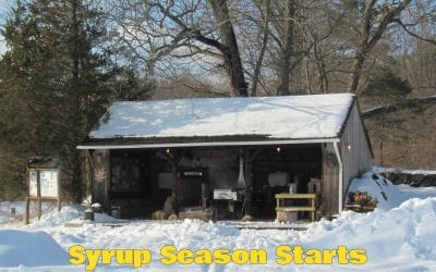 Syrup Season Starts this Weekend at the NC Nature Center!
