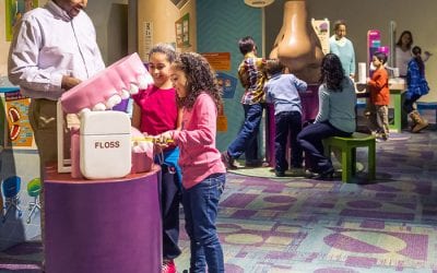 It's Back! Healthyville® at Stepping Stones Museum