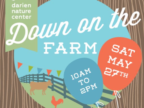Down on the Farm at Darien Nature Center