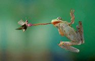 Friday Family Fun Night: Icky, Sticky, Slimy Animals at the NC Nature Center