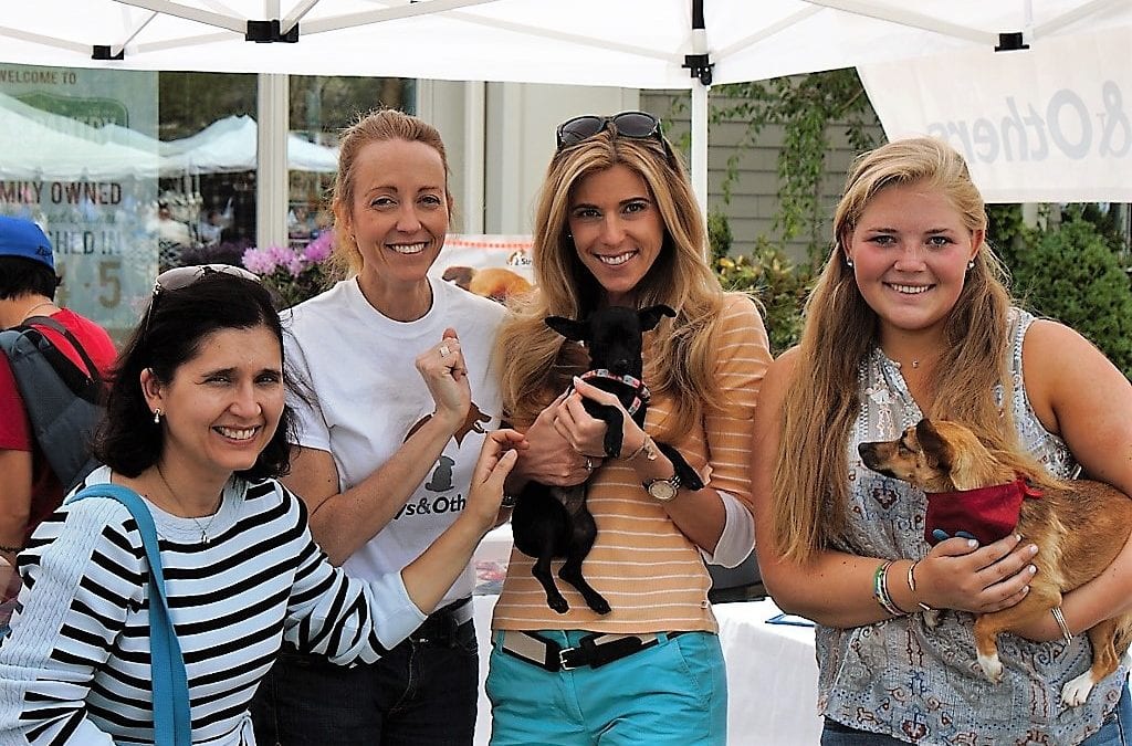 8th Annual New Canaan Dog Days of Summer!
