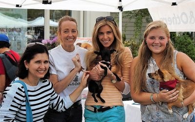 8th Annual New Canaan Dog Days of Summer!