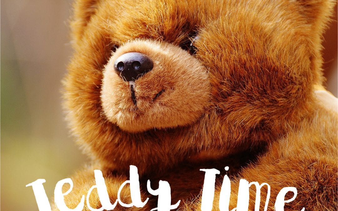 30th ANNUAL TEDDY BEAR PICNIC!
