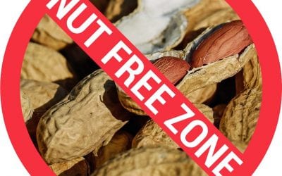 Need Some Inspiration for Nut-Free Lunches? Don't Miss this List!