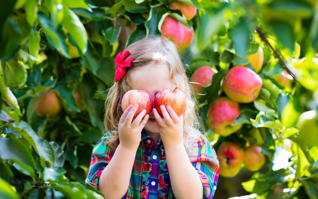 2017 Apple Picking Season is HERE – newcanaandarienmoms.com has you covered!