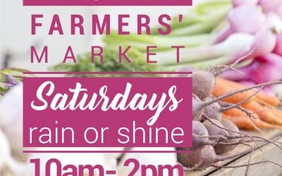 Summer Farmer's Market