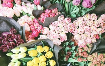 5 Reasons We Love Spring