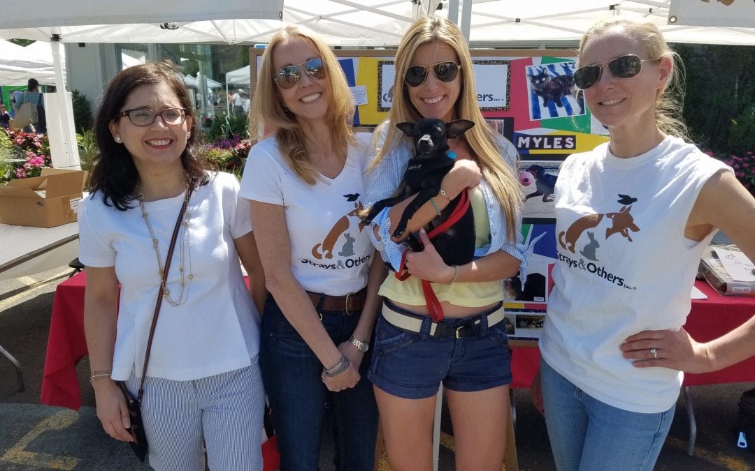 The 9th Annual New Canaan Dog Days of Summer at Pet Pantry