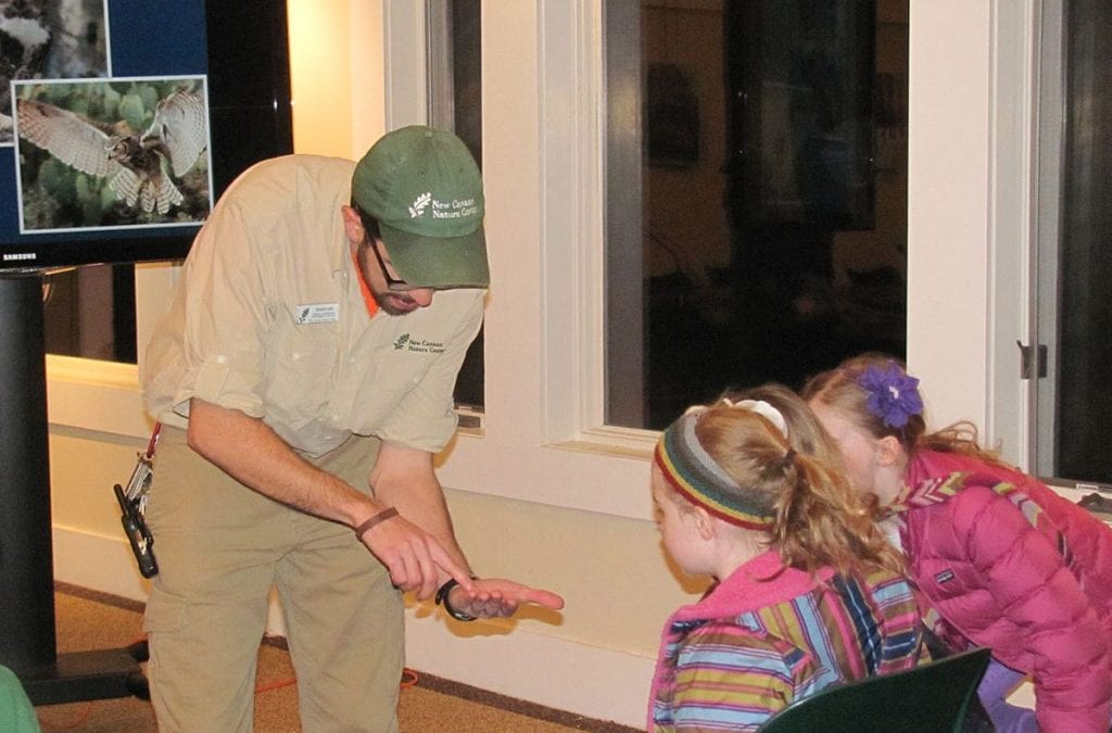 Friday Family Fun Night: Mammal Mania @ New Canaan Nature Center