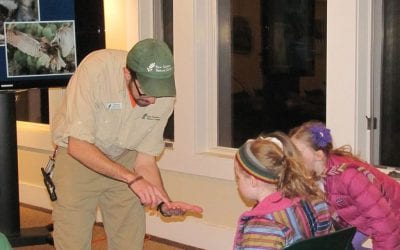 Friday Family Fun Night: Mammal Mania @ New Canaan Nature Center