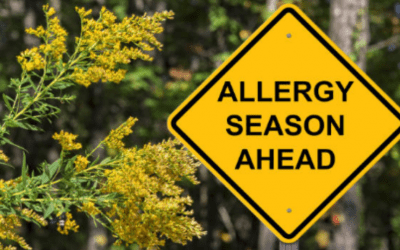 Did you know that 10,000 students miss school every day because of allergies?