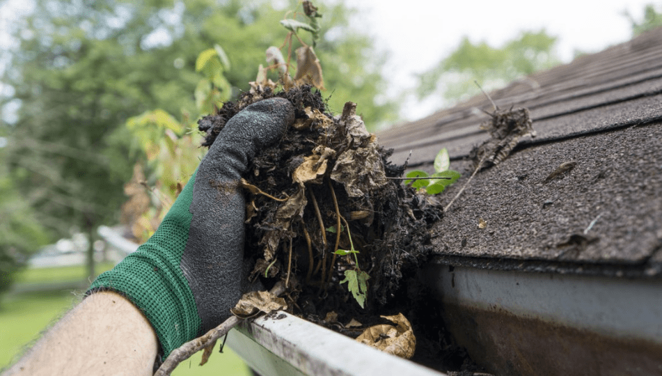 Clear Your Gutters for Fall!