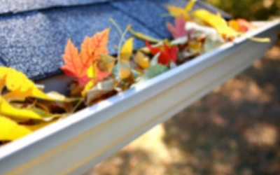 Why does YOUR house need Gutter Cleaning?