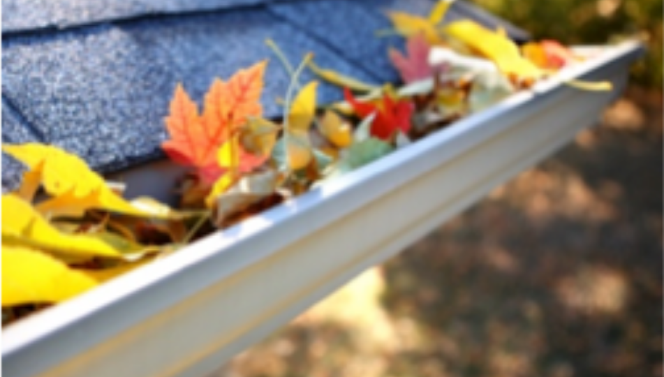 Why does YOUR house need Gutter Cleaning?