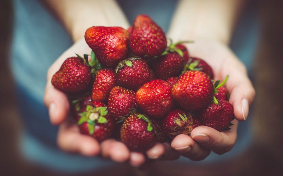 Fairfield County Pick Your-Own Guide!