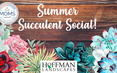 The Perfect Way to Kick off Summer…