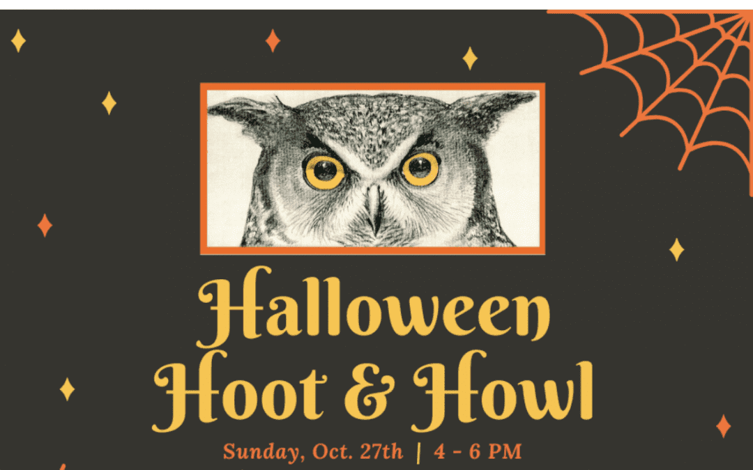 Hoot & Howl at Darien Nature Center