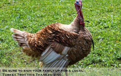 New Canaan Turkey Trot