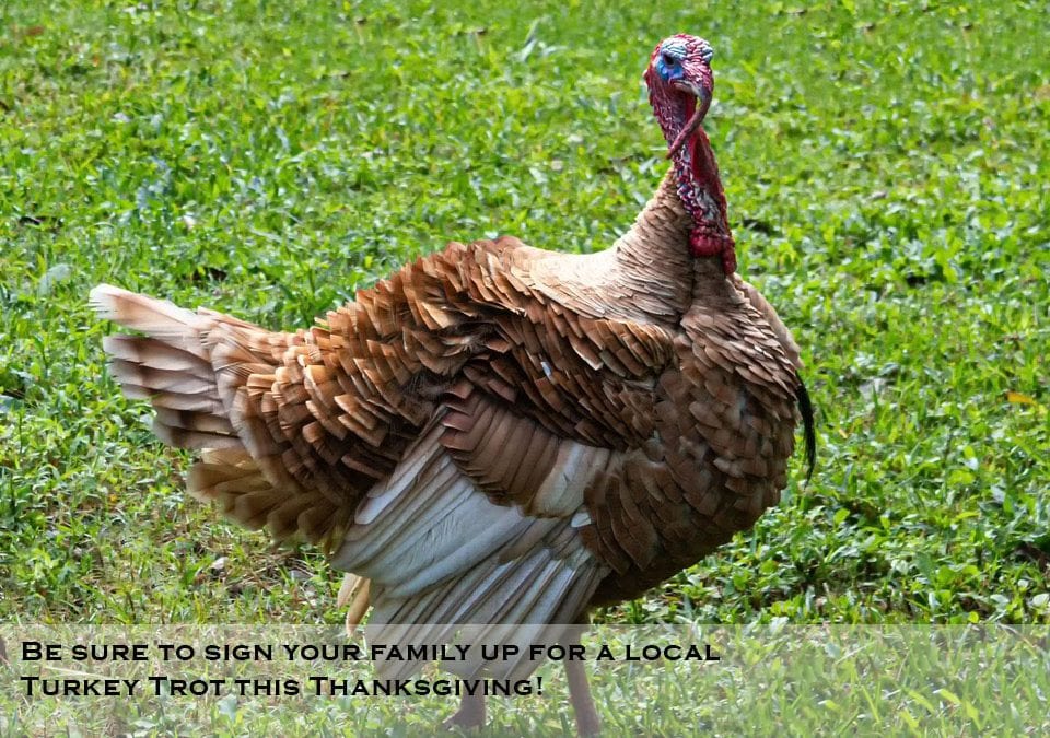 New Canaan Turkey Trot