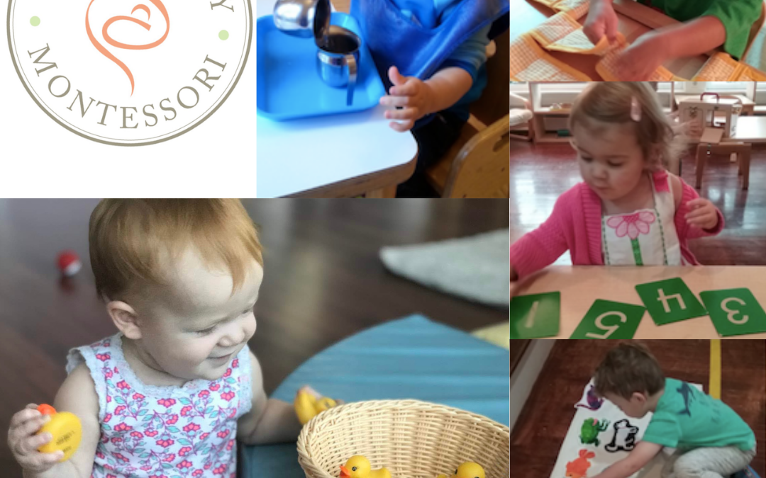 What exactly is a Montessori School?