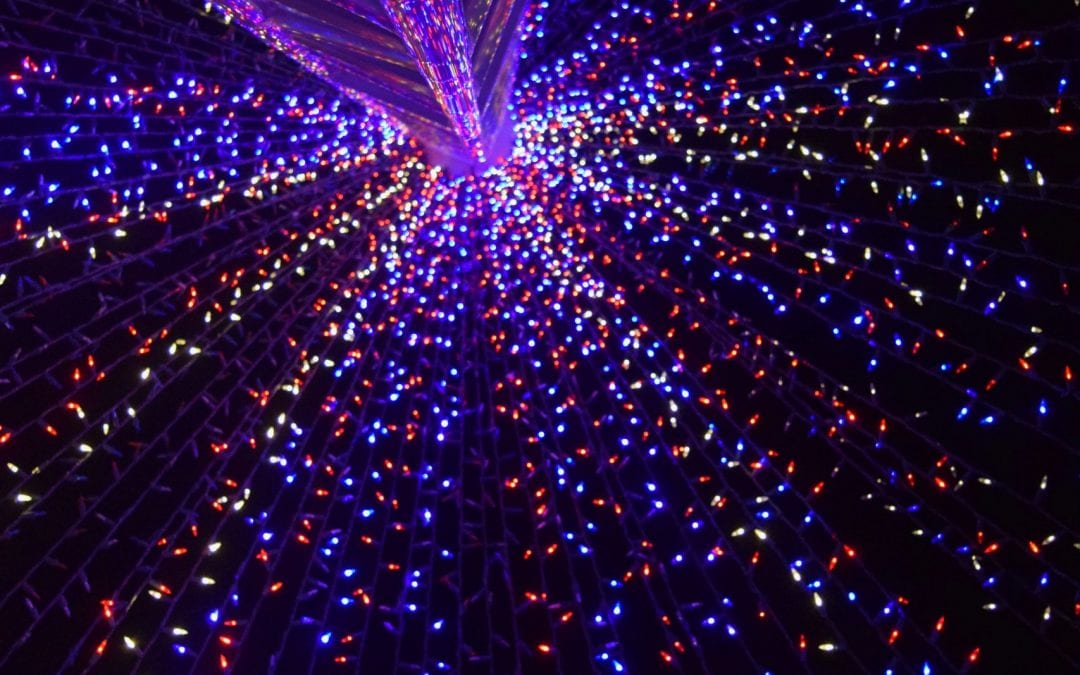 Must See 2020 Holiday Light Displays!