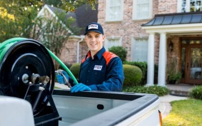 Why We Love Fox Pest Control!