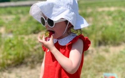 Places to “Pick Your Own” Berries and More!