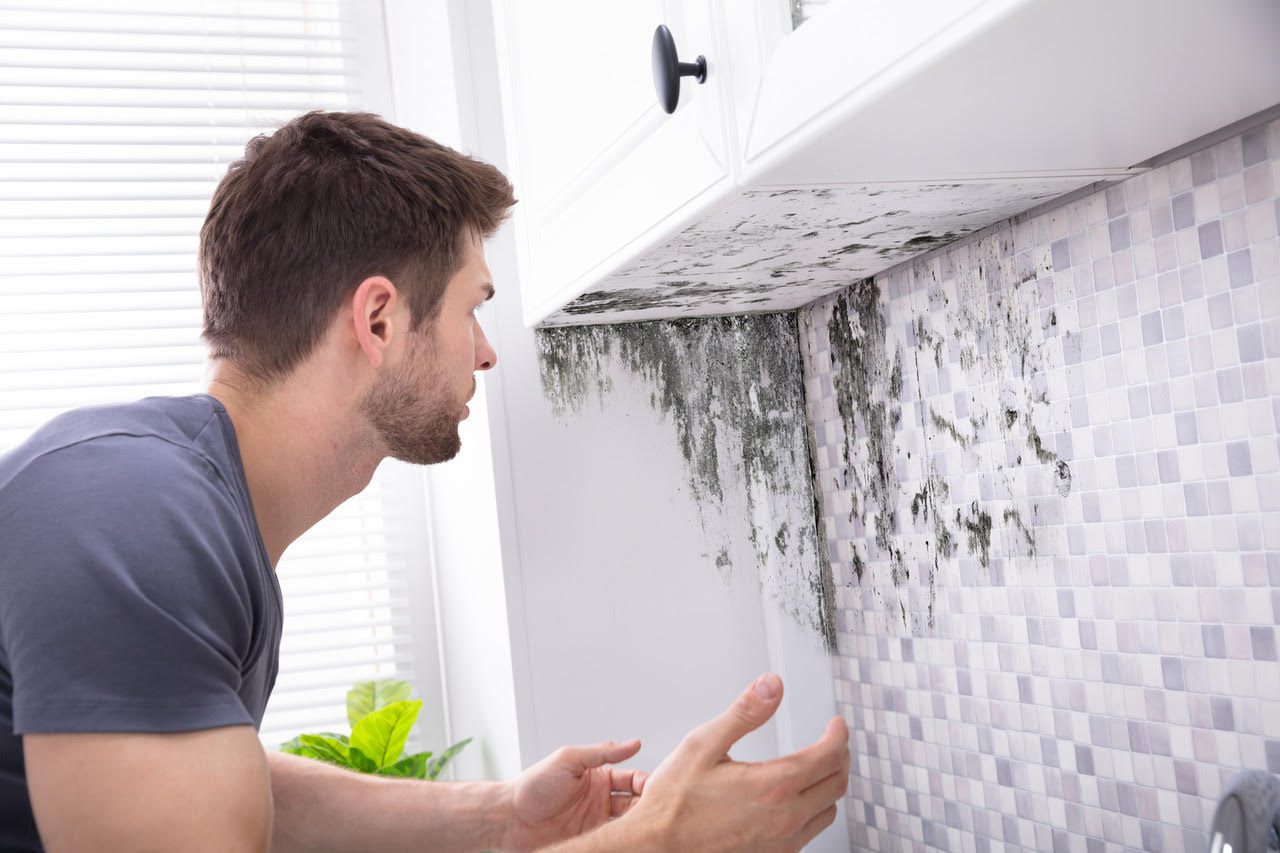 Are You Unwittingly Exposing Your Family to Environmental Toxins? Mold