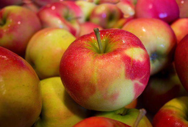 Best Places for Apple Picking in Westchester and Rockland