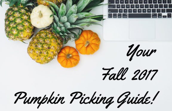 2017 PUMPKIN PICKING GUIDE!
