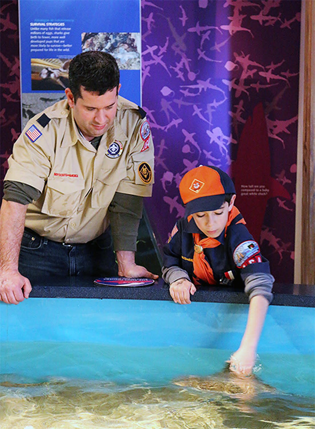 DISCOUNTS AND WORKSHOPS FOR SCOUTS  ON SAT., MARCH 24  IN THE MARITIME AQUARIUM AT NORWALK