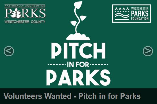 Pitch In for Parks 2018