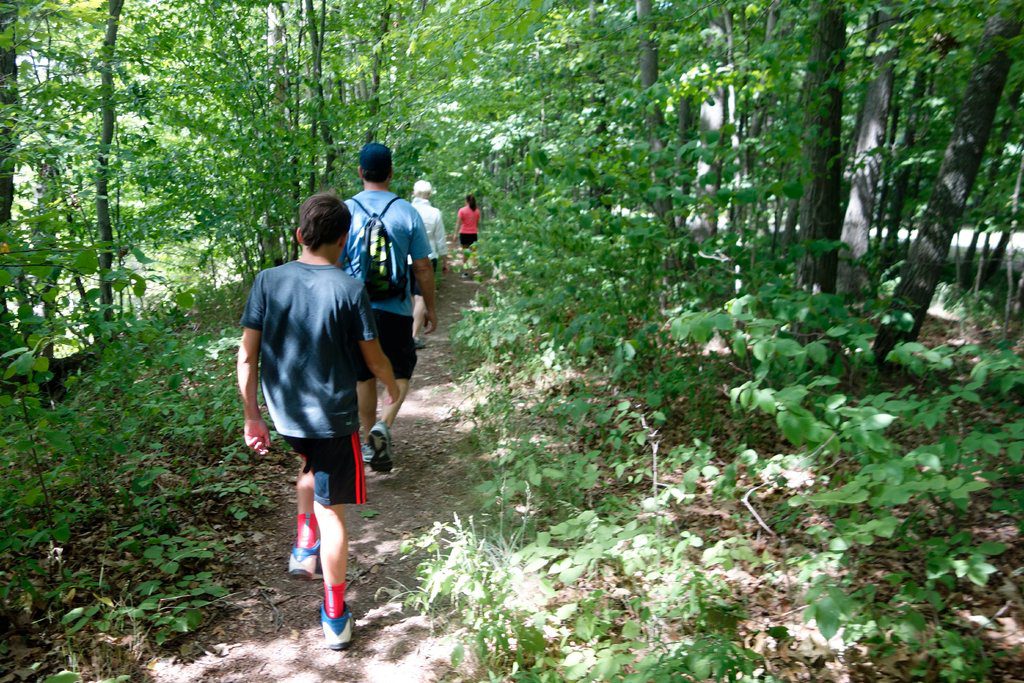 How to Protect Yourself From Mosquitoes and Ticks