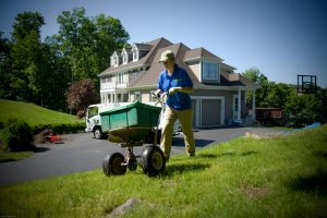 5 Tips for a Greener, More Sustainable Lawn