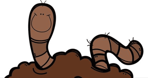 Wiggle Worm Gardening and Composting Workshop For the Entire Family!