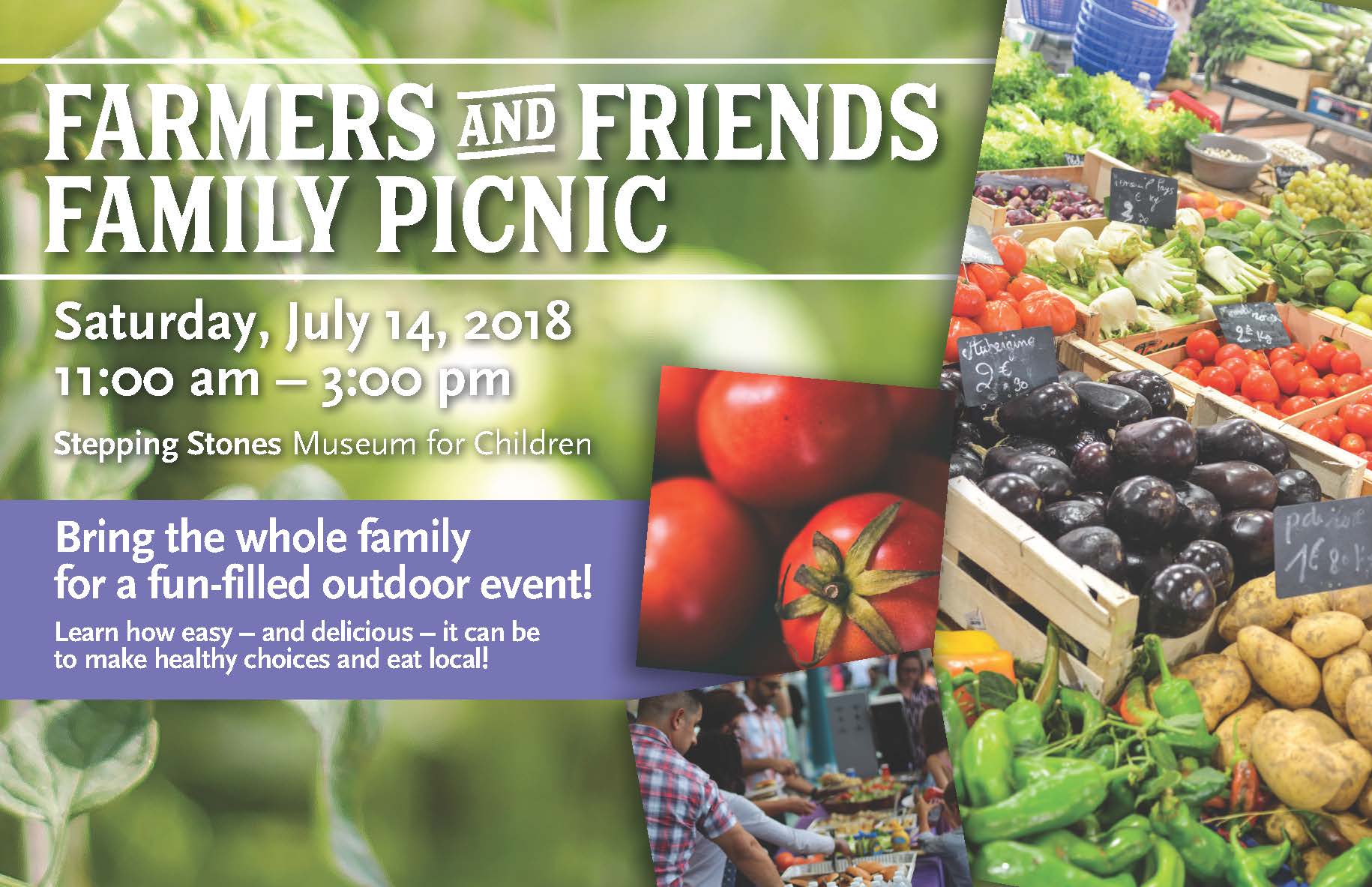 Farmers and Friends Family Picnic July 14th @ Stepping Stones Museum for Children