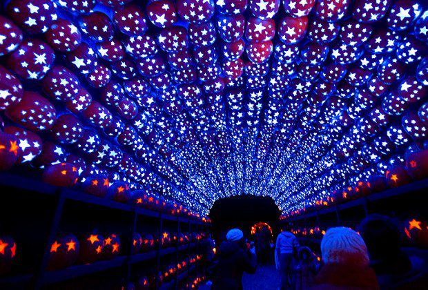 The Great Jack O'Lantern Blaze Rises in the Hudson Valley Again